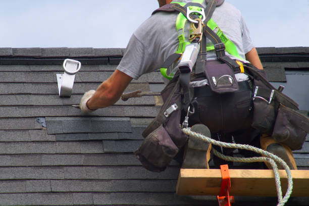 Best Metal Roofing Contractor  in Haines, AK