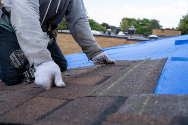 Best Roof Waterproofing Services  in Haines, AK